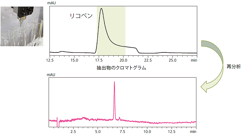 まとめて抽出して分画，後処理まで省力化