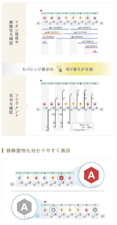 フラグメントカバレッジ表示