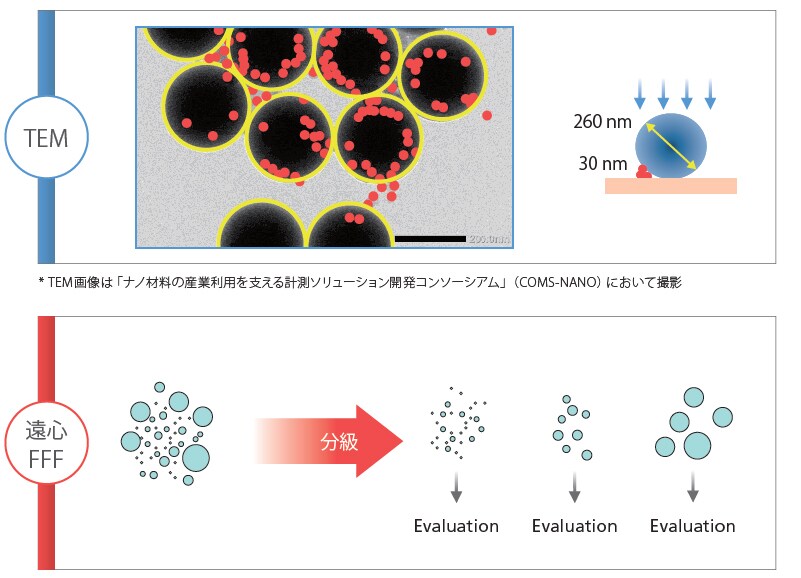 粒子の分離測定