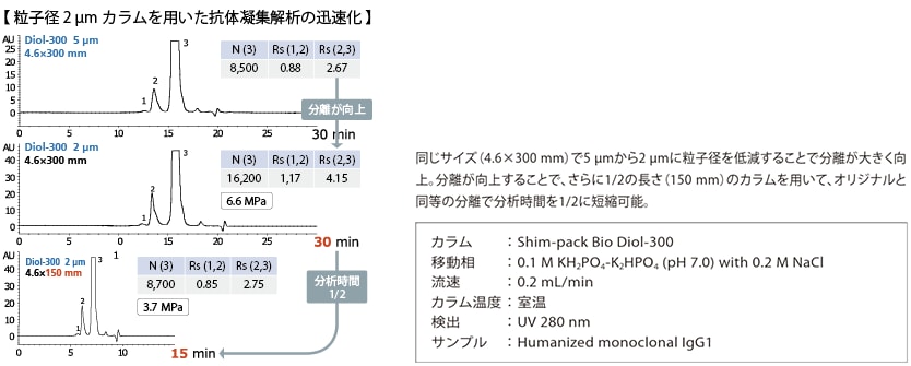 サイズ排除クロマトグラフィーカラム