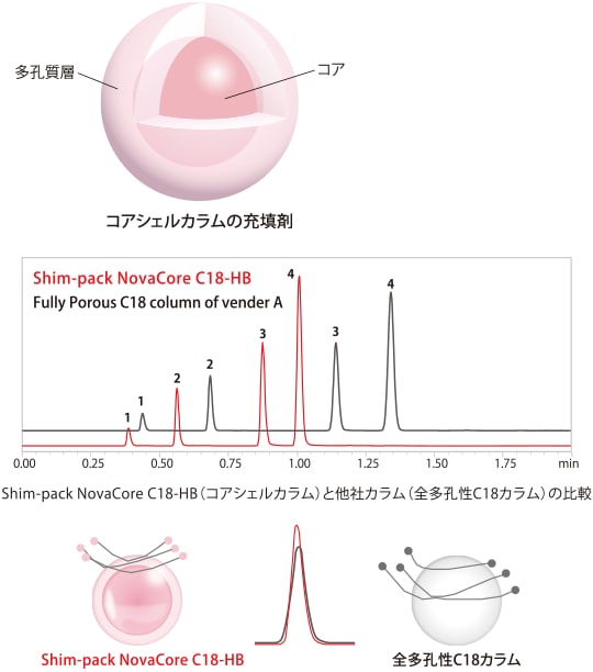 Shim-pack NovaCore C18-HB（コアシェルカラム）と他社カラム（全多孔性C18カラム）の比較