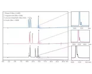 中分子化合物やタンパク質などの分析に最適化したワイドポア逆相カラム