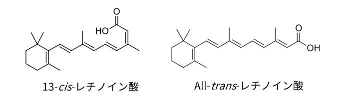 レチノイン酸の異性体分析