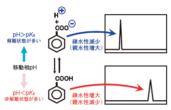 図1　移動相pH と保持の関係（概念図）