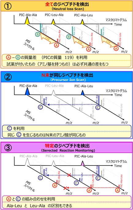 ペプチド測定における3 つの手法－混合ペプチド