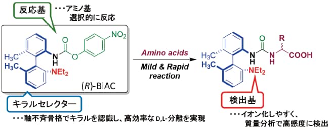 図2	(R)-BiAC試薬の設計コンセプトとアミノ酸との反応