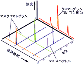 クロマトグラムとマススペクトル