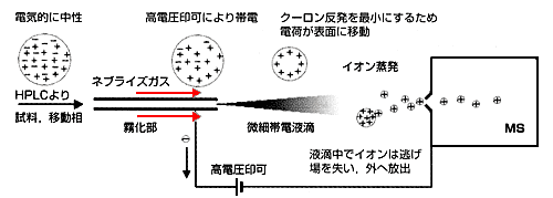 図1 エレクトロスプレーイオン化(ESI):イオン蒸発 図1 エレクトロスプレーイオン化(ESI):イオン蒸発