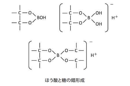 単糖および二糖類を分析した例