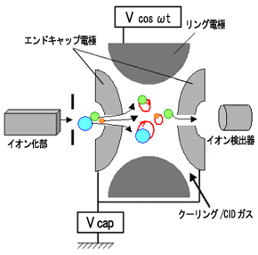 イオントラップ型質量分析計の模式図