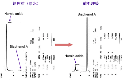 Conditions of HPLC evaluations