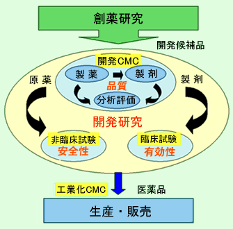 医薬品開発とCMC研究