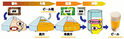 図2　ビール製造工程の概略図