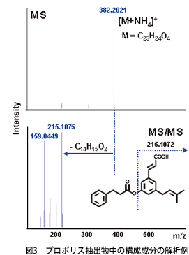 図3　プロポリス抽出物中の構成成分の解析例