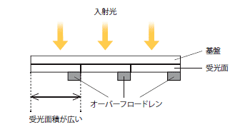 ブルーミングは起こりません