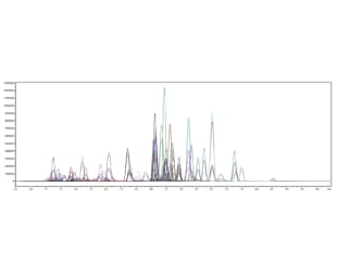 細胞培養における基礎培地成分や代謝物を含む144化合物の一斉分析が20分以内で可能