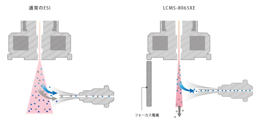 究極の高感度分析の追求