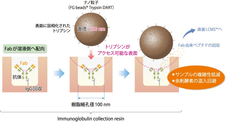 抗体分析の新たなプラットフォーム01