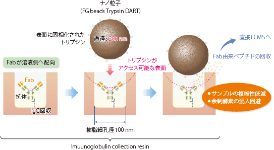 Imuunoglobulin collection resin