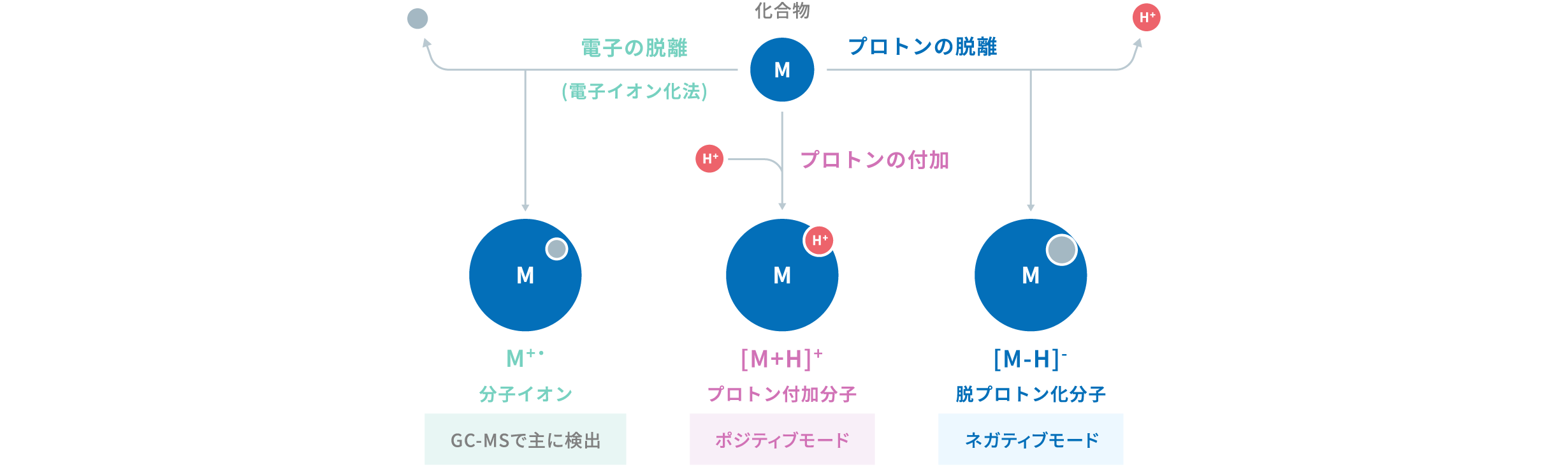 lcms_chapter1_16