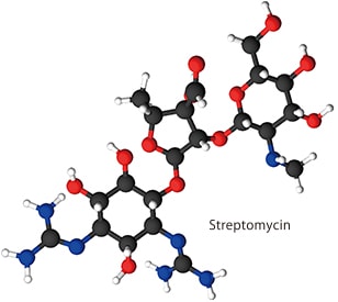 Streptomycin