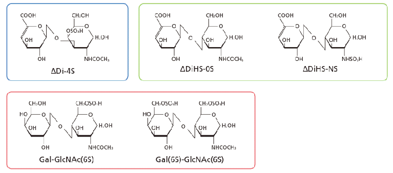 分析対象となる硫酸化二糖の構造例