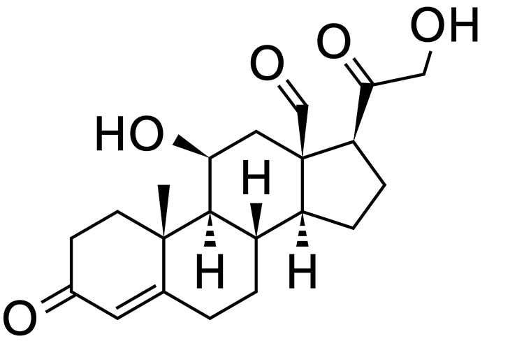 01_aldosterone