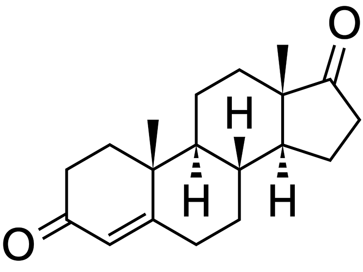 androstenedione