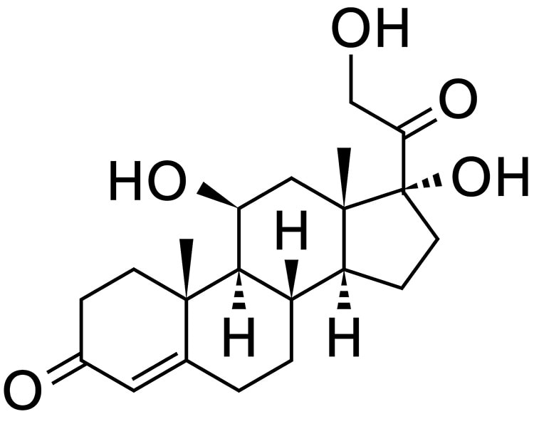 05_cortisol