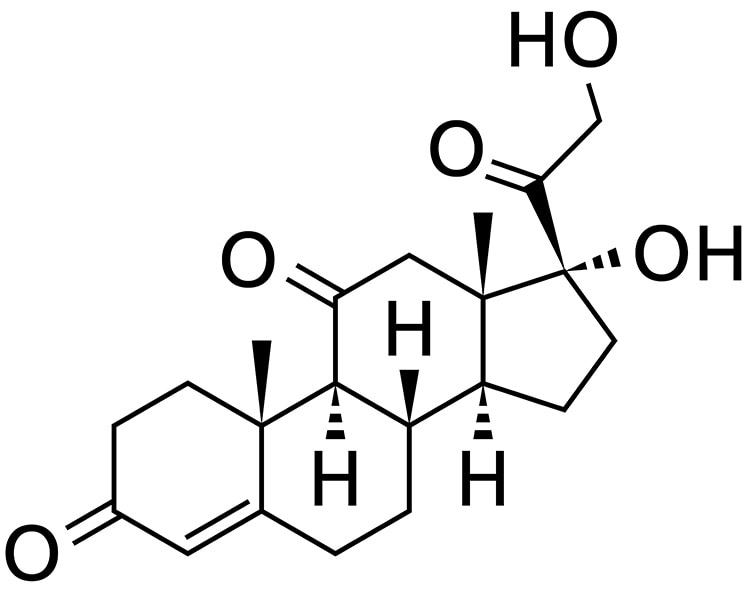 06_cortisone