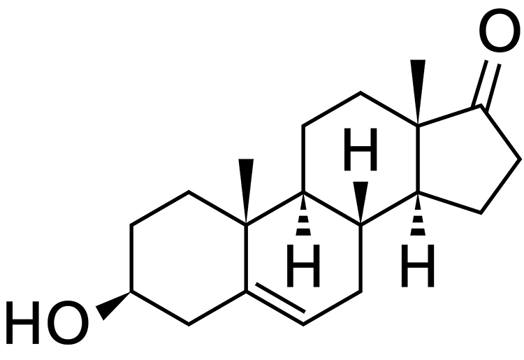 dehydroepiandrosterone