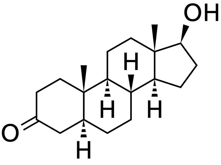 Dihydrotestosterone