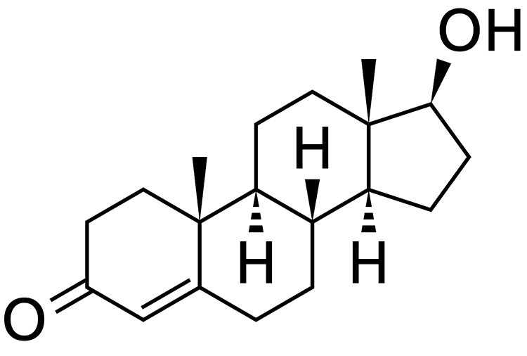 Testosterone