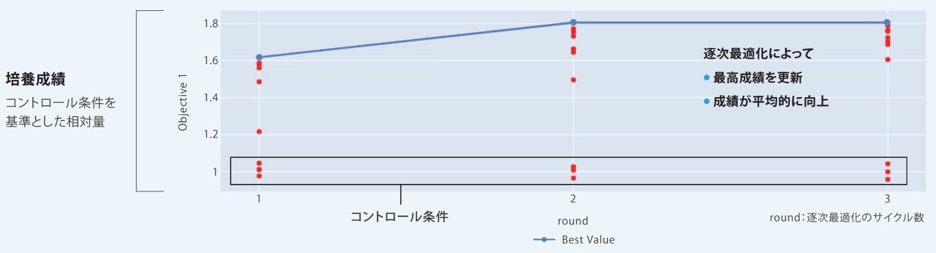 逐次最適化結果の可視化