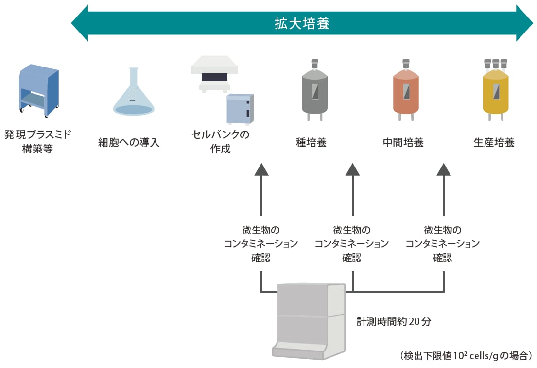 工程検査で安全を確認しながら製造