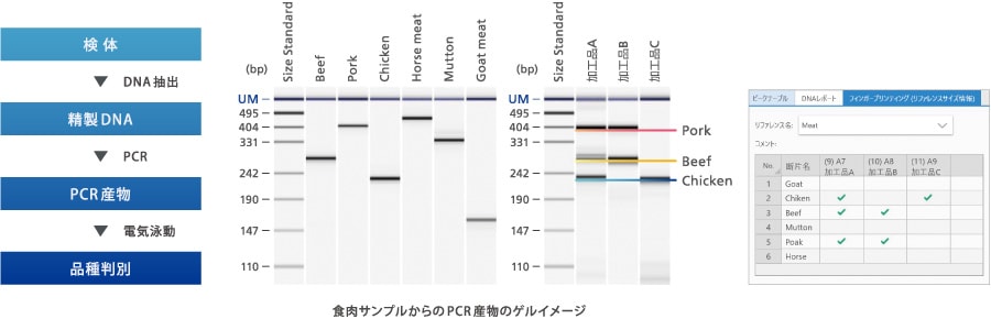 食肉サンプルからのPCR産物のゲルイメージ