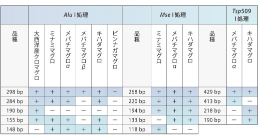 マグロの判別パターン