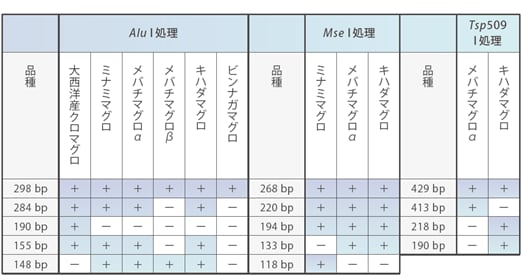 マグロの判別パターン