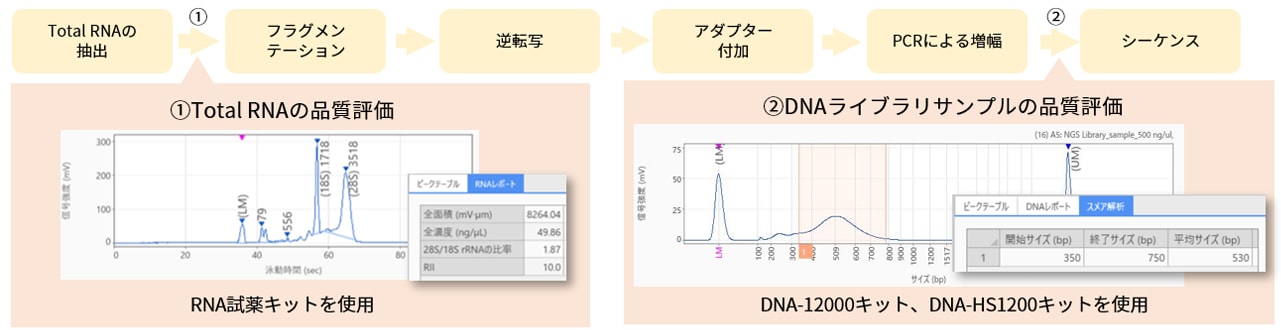 次世代シーケンスへの活用