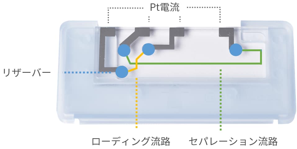 マイクロチップ