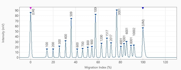 マーカ溶液とサイズスタンダードのエレクトロフェログラム
