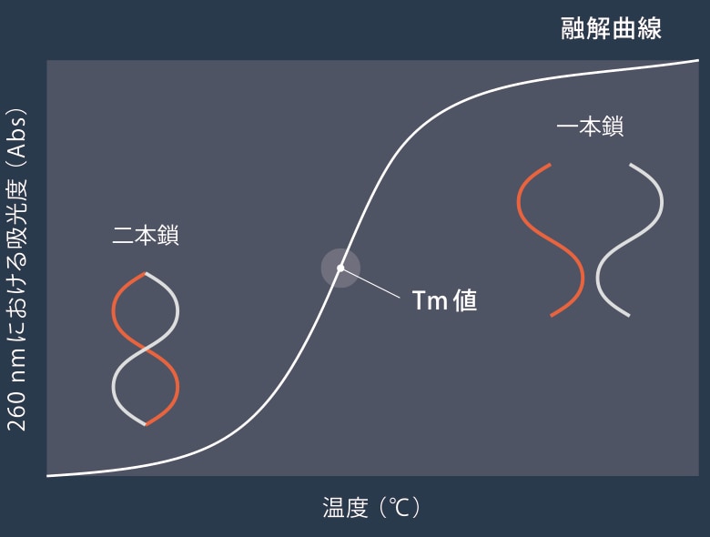 Tm解析とは