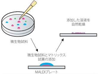 専用MALDIプレート上に添加