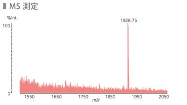 MS測定