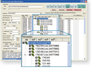 候補構造の提示，MS3プリカーサイオン候補の提示