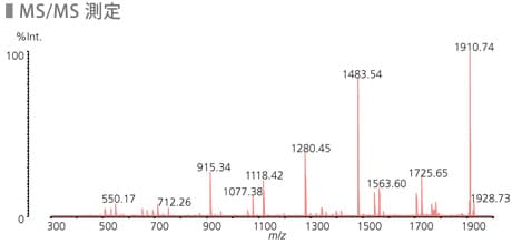 MS/MS測定