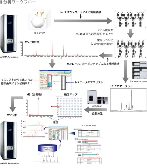 分析ワークフロー