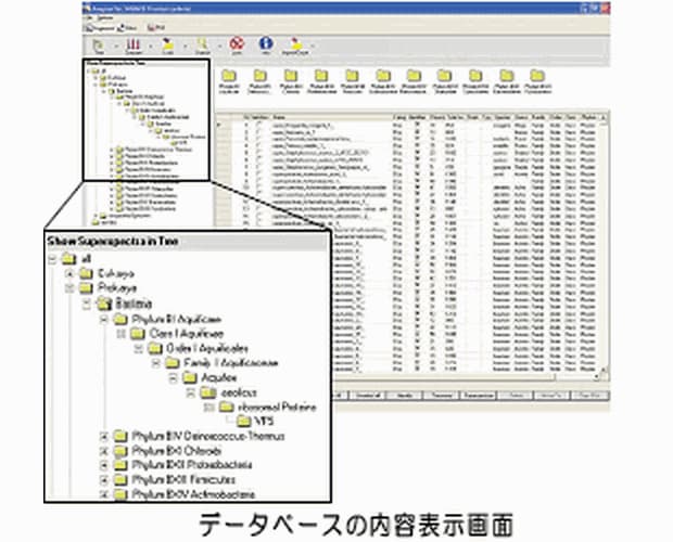 信頼性の高いデータベースが微生物同定作業を強力にサポート