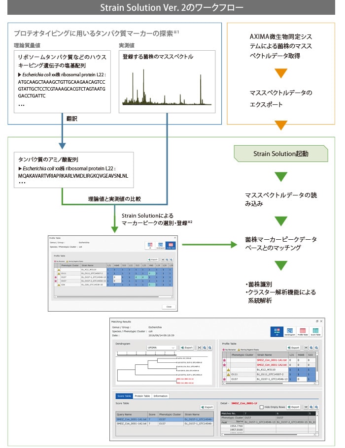 Strain Solution Ver.2のワークフロー