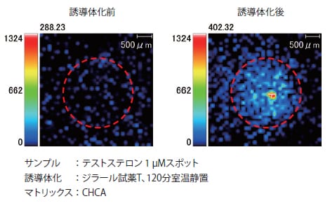 誘導体化処理